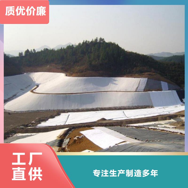 土工膜膨潤(rùn)土防水毯支持大批量采購(gòu)