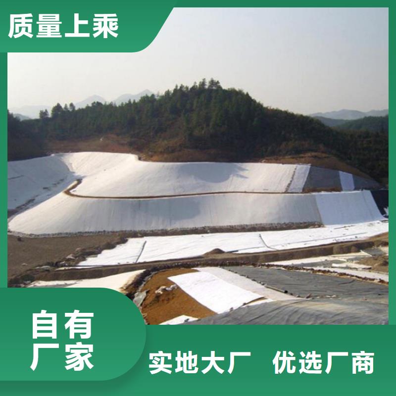 土工膜_防渗膜实力才是硬道理