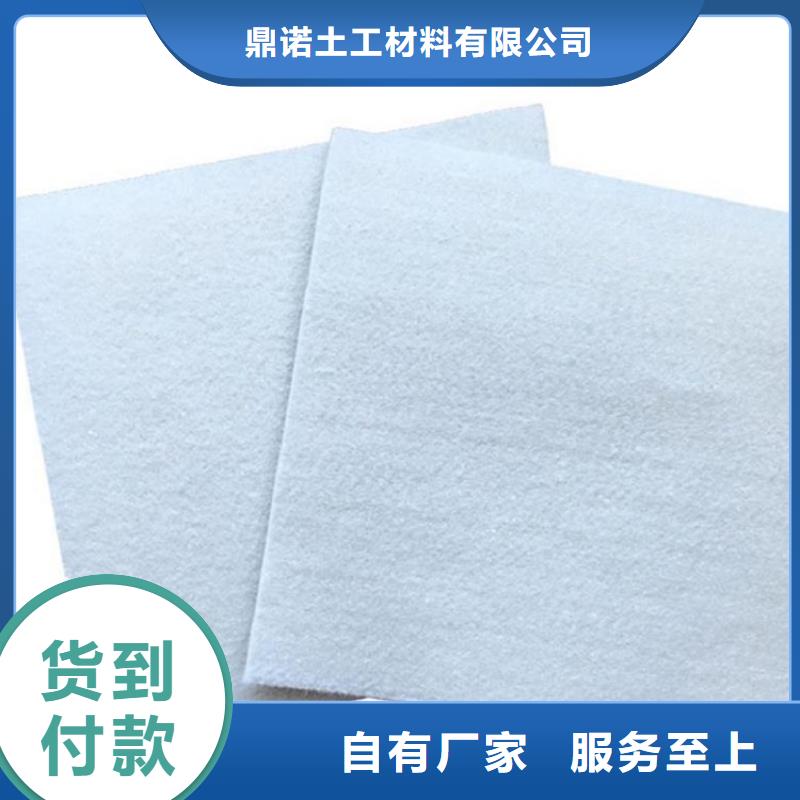 防滲濾水土工布