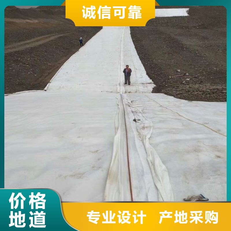 土工布复合土工布一周内发货