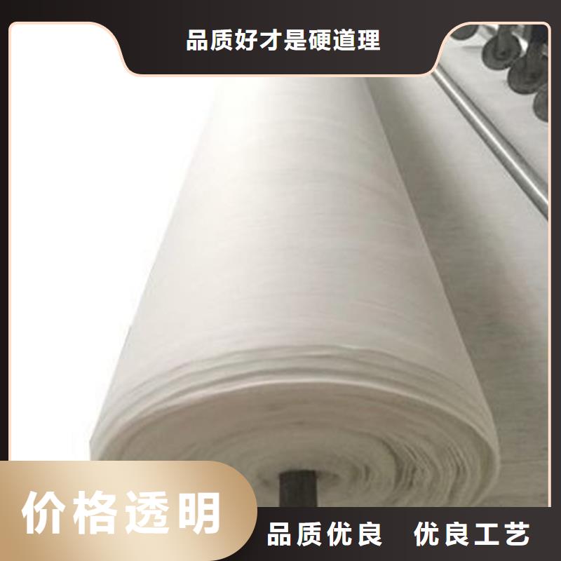 公路養(yǎng)護(hù)土工布