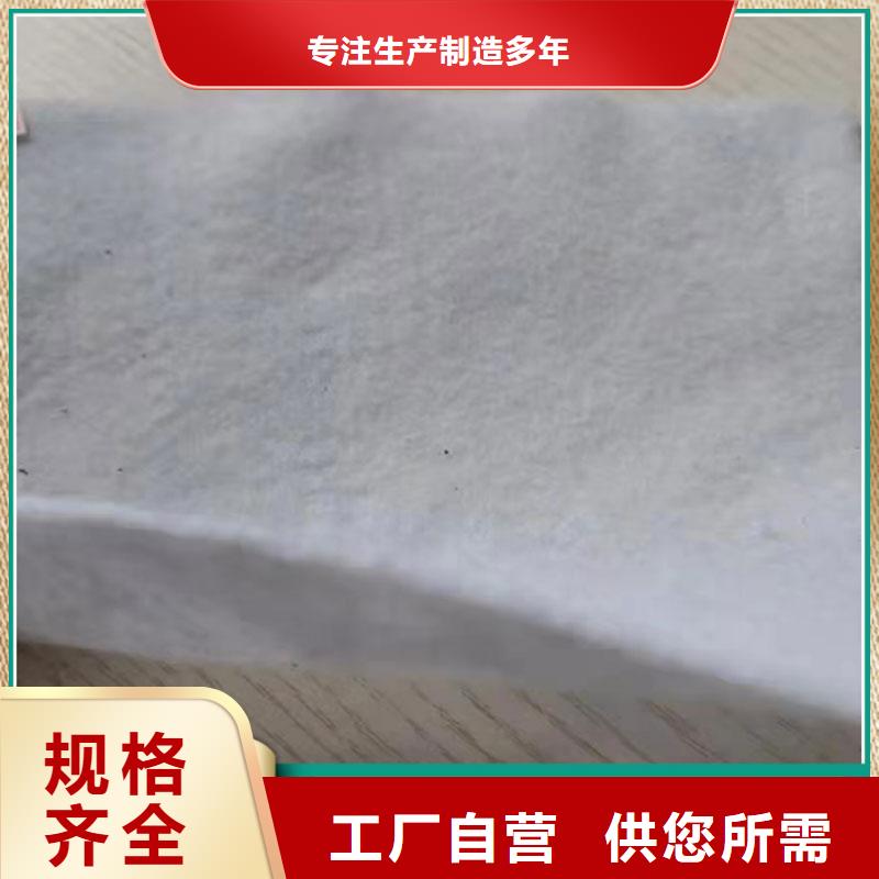 土工布复合土工布一周内发货