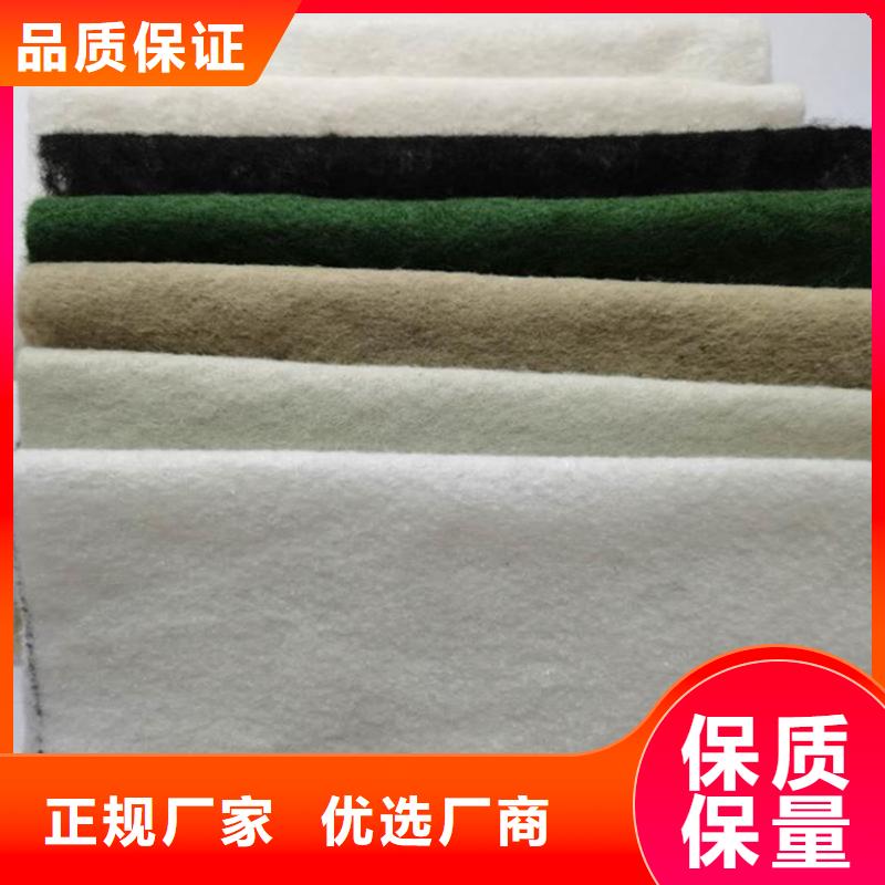公路養(yǎng)護(hù)土工布