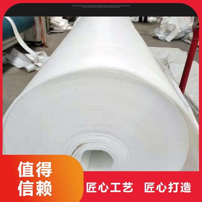 土工布防水排水板精工細(xì)致打造