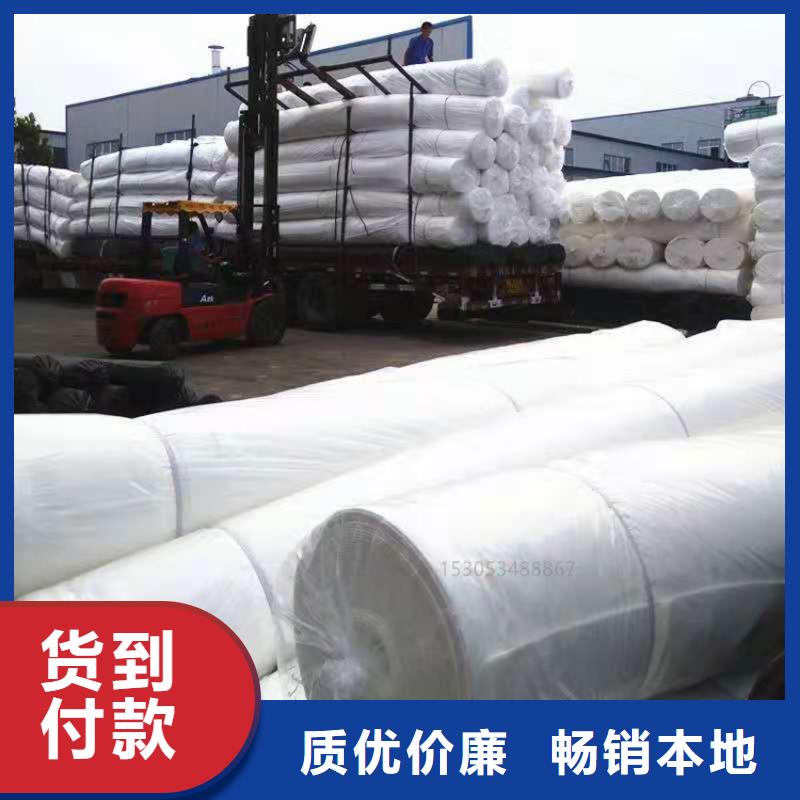 土工布复合土工布一周内发货