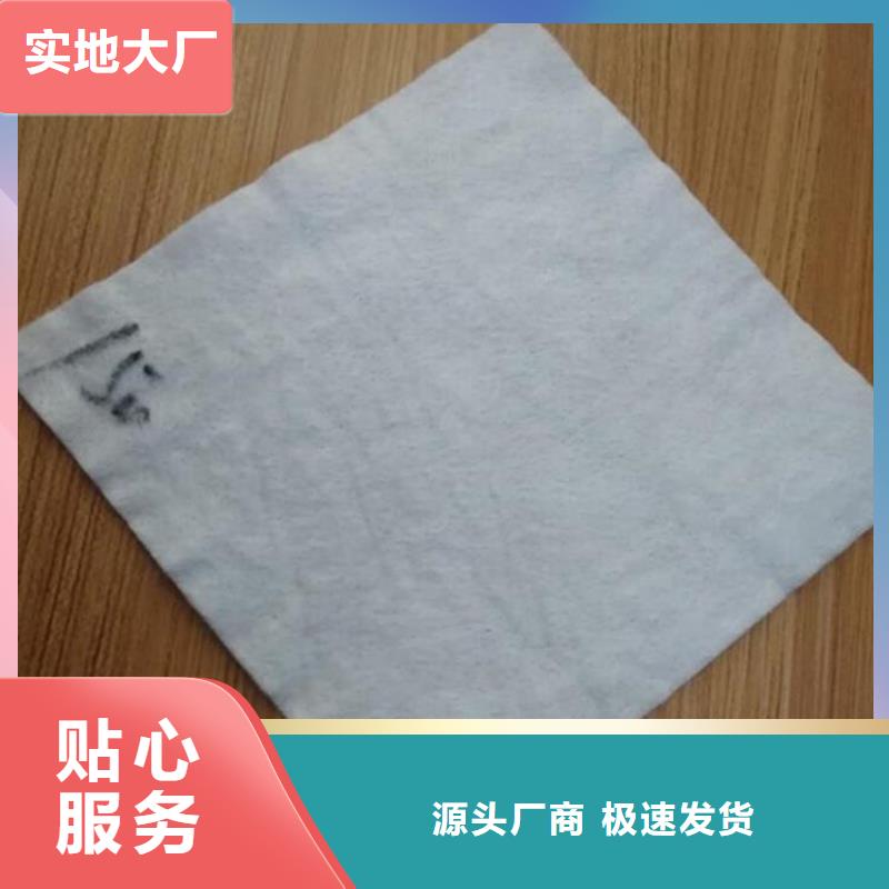 防滲濾水土工布