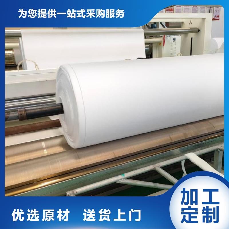 土工布土工格栅根据要求定制