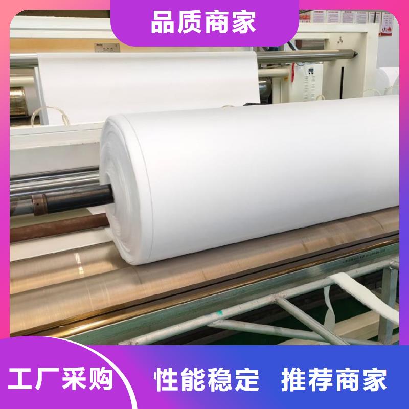 土工布土工格柵根據(jù)要求定制