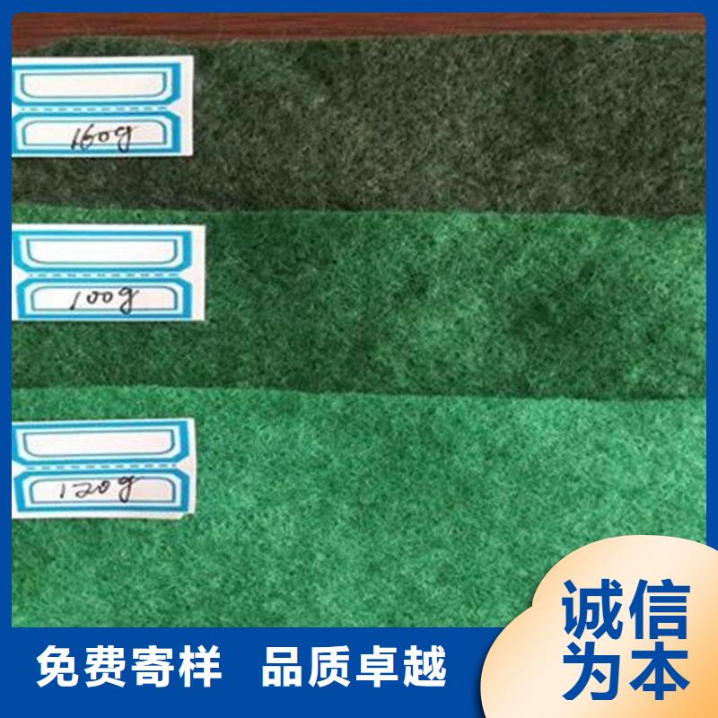 土工布土工格栅根据要求定制