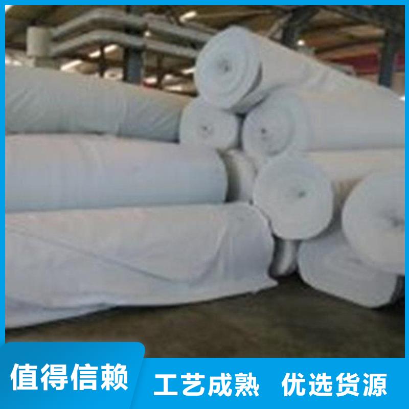 土工布,【防水膜】精心