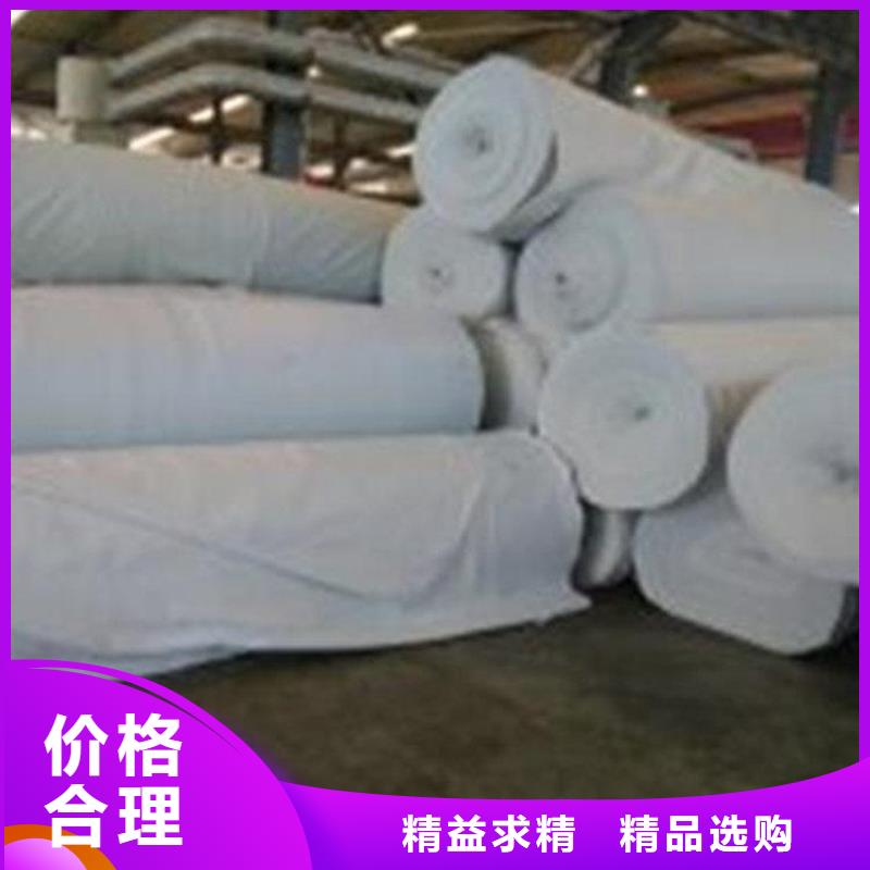 土工布土工格栅根据要求定制