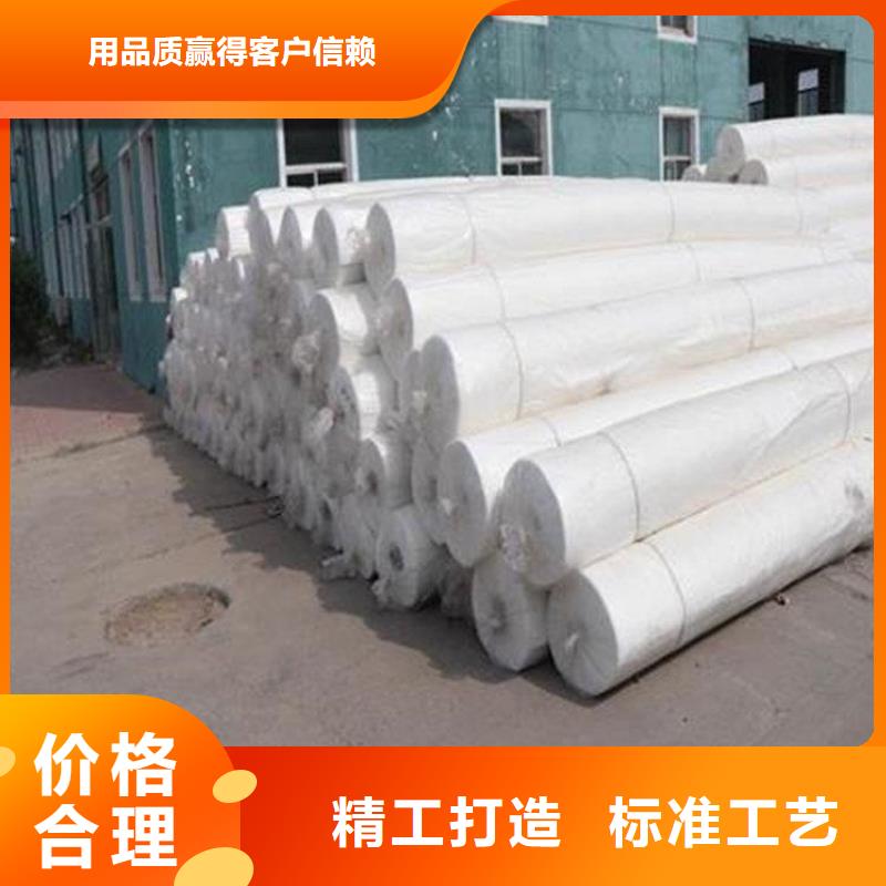 土工布土工格栅根据要求定制
