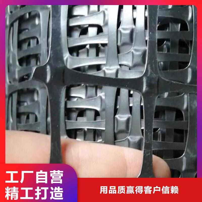 土工格栅防渗土工膜丰富的行业经验