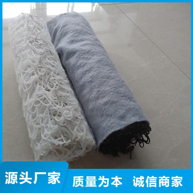 塑料盲溝防水板源頭直供