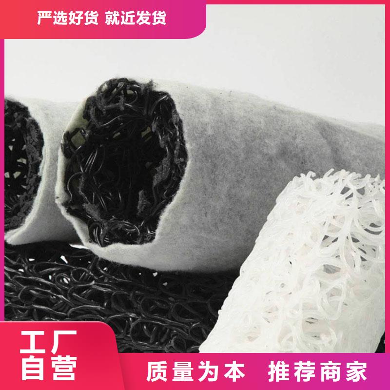 塑料盲溝_防滲土工膜正規(guī)廠家