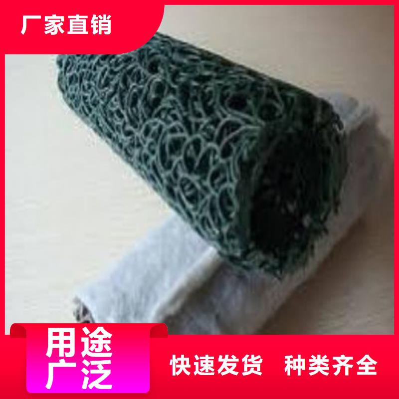 塑料盲沟塑料盲沟实力厂家