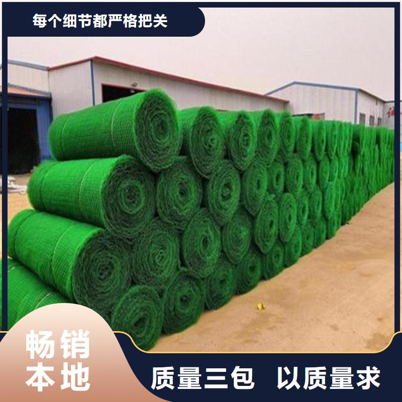 三維植被網(wǎng)土工格柵匠心工藝