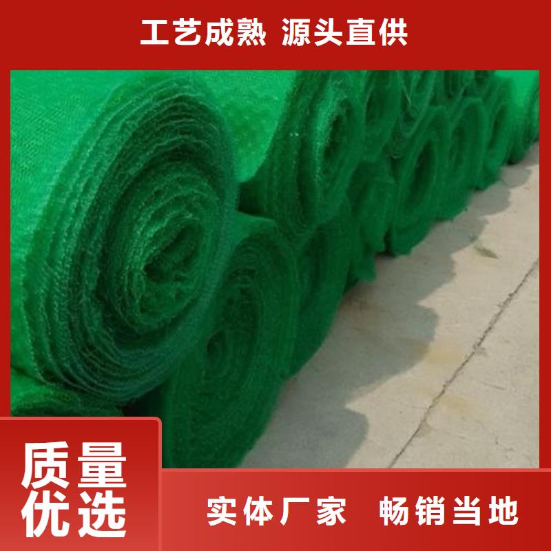 三維植被網(wǎng)土工格柵匠心工藝