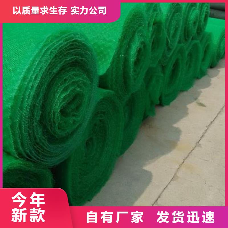 三維植被網(wǎng)土工布支持非標定制