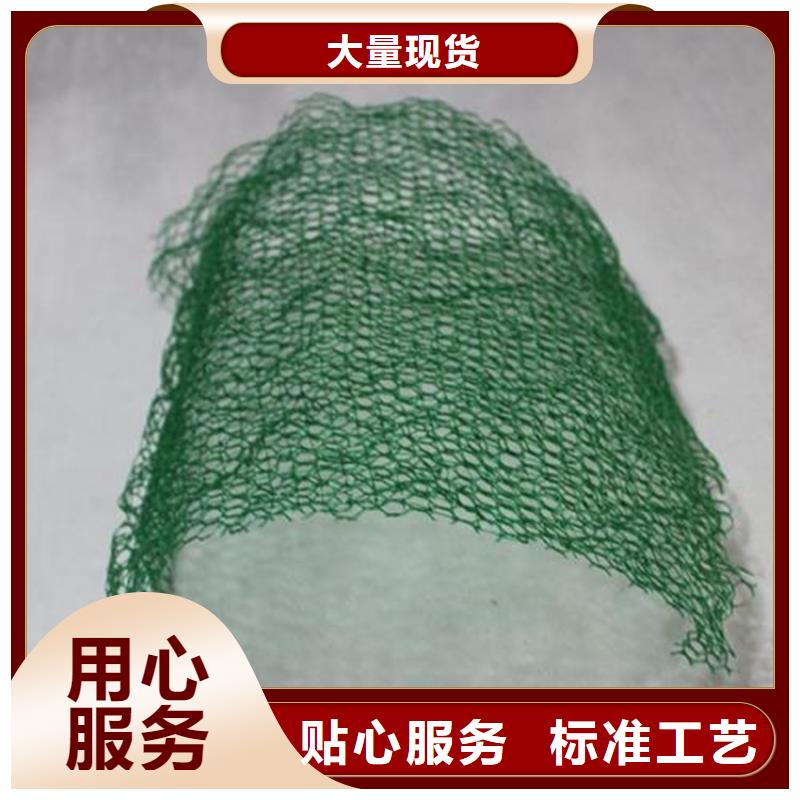 三維植被網(wǎng)【防滲膜】支持貨到付清
