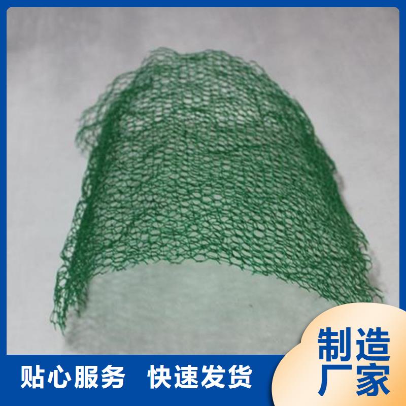 三維植被網(wǎng)防水板批發(fā)價格