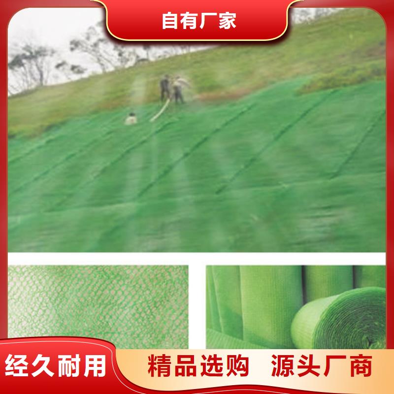 三維植被網(wǎng)土工格柵款式新穎
