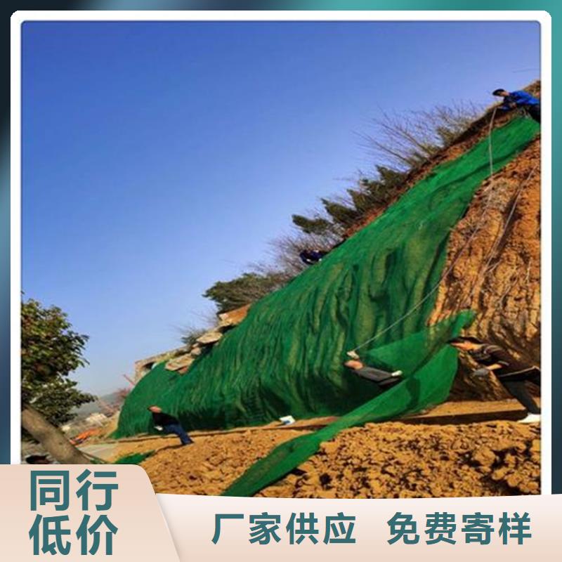 三維植被網(wǎng)塑料排水板定金鎖價