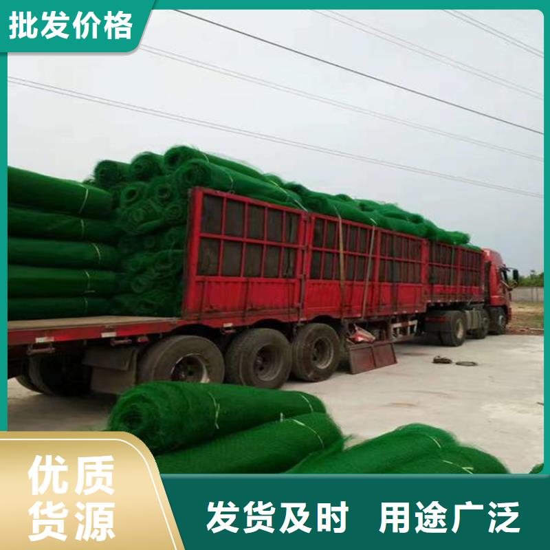 三维植被网,三维土工网来图加工定制