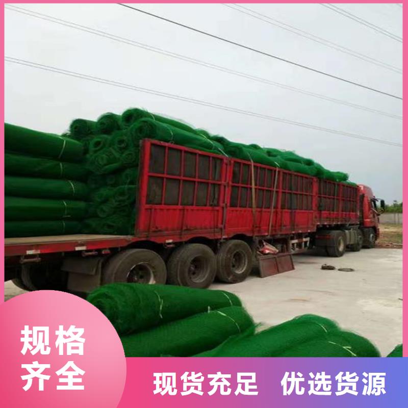 三維植被網(wǎng)塑料排水板定金鎖價