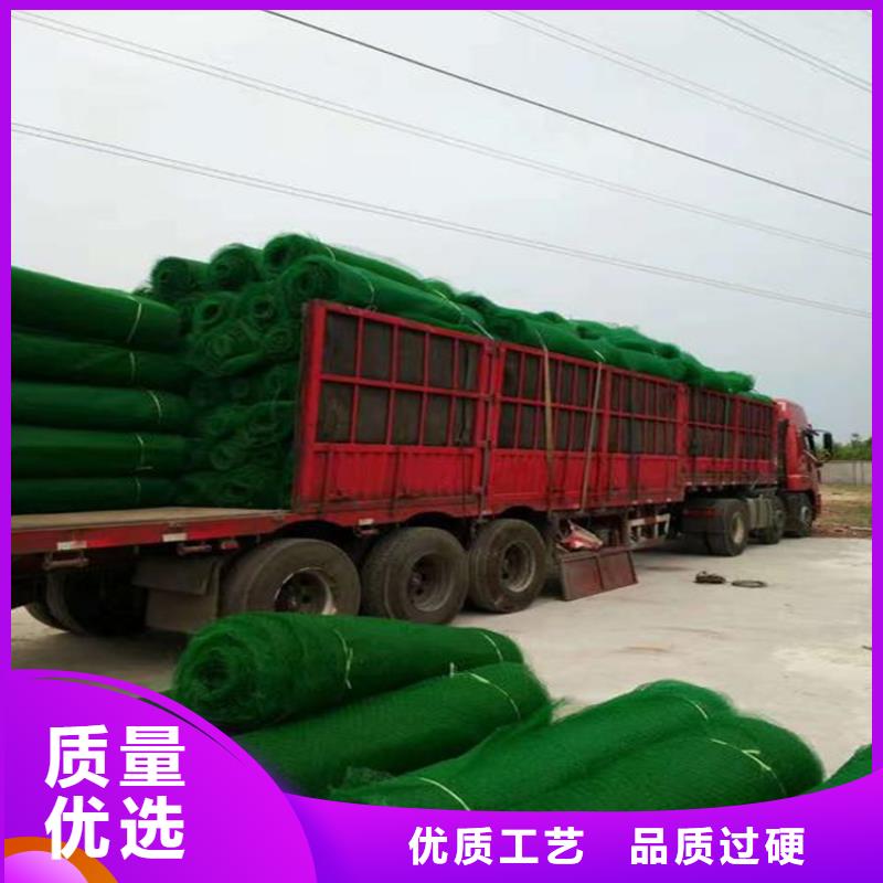 三維植被網(wǎng)土工格柵匠心工藝