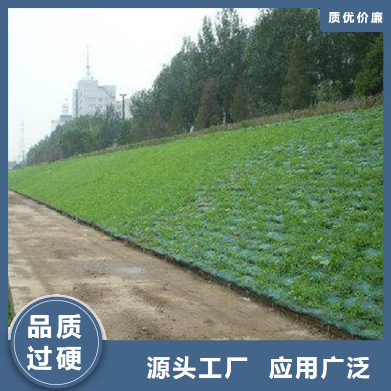 三维植被网防水板批发价格