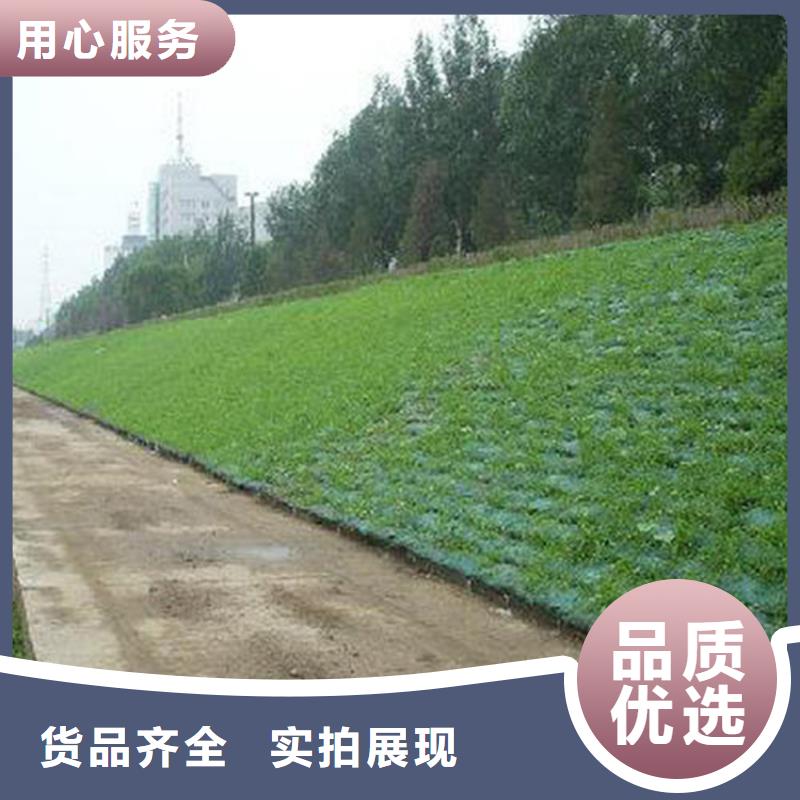 三維植被網(wǎng)土工布支持非標定制
