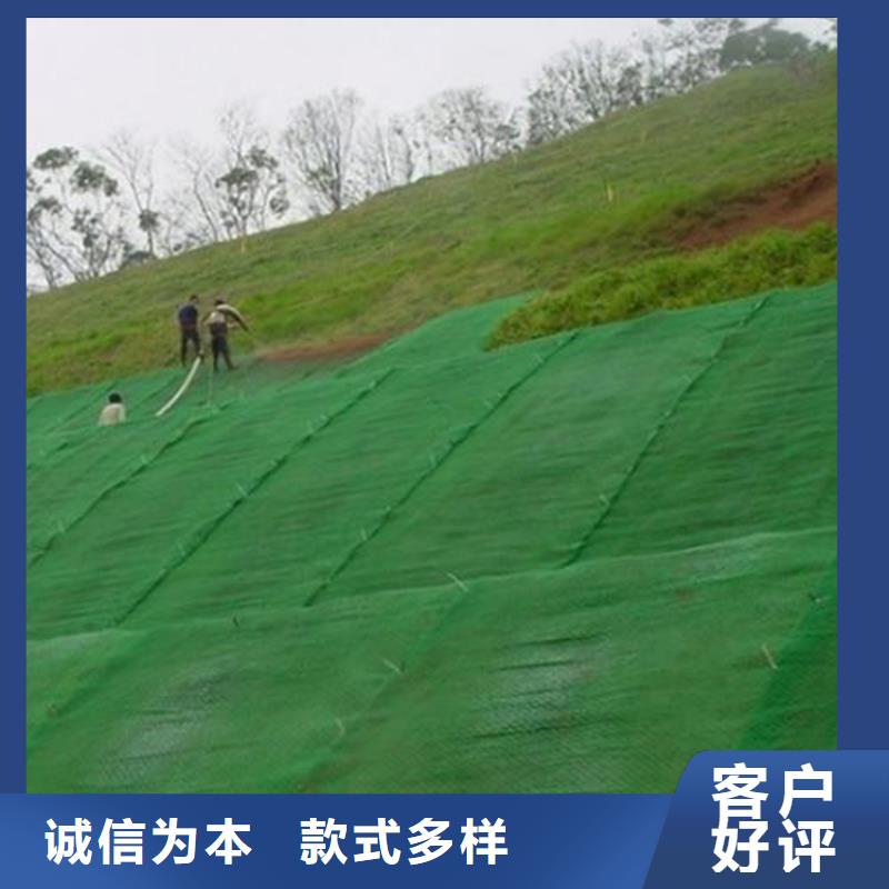 三維植被網(wǎng)軟式透水管工廠現(xiàn)貨供應(yīng)