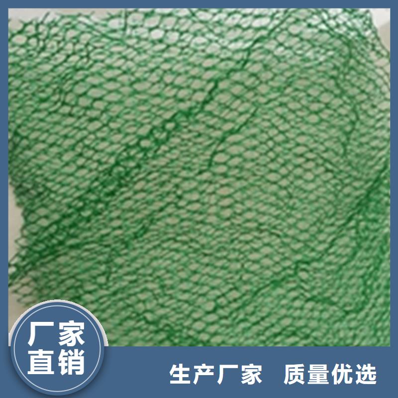 三维植被网【防渗膜】支持货到付清