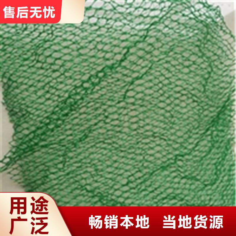三維植被網(wǎng)土工布安心購