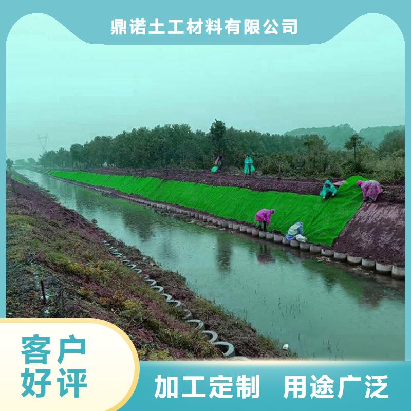 三維植被網(wǎng)土工格柵匠心工藝