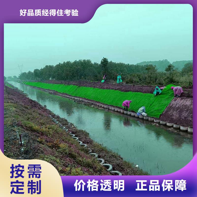 三維植被網(wǎng)土工格柵匠心工藝