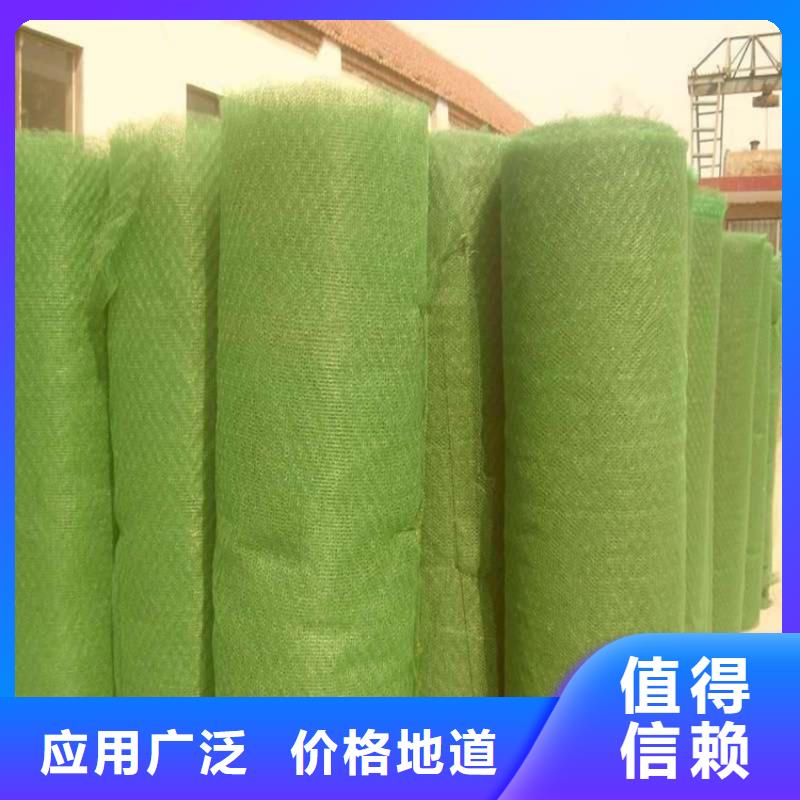 三維植被網(wǎng)土工格柵匠心工藝