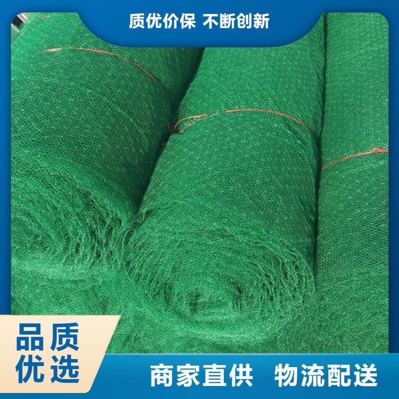 三維植被網(wǎng)土工布安心購