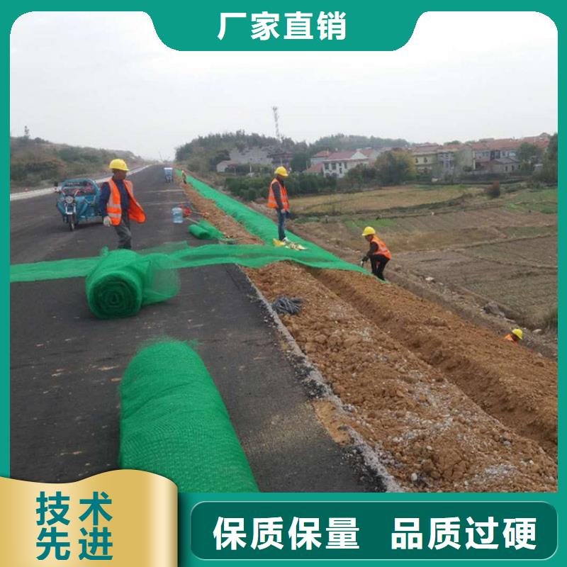 三維植被網(wǎng)【防滲膜】支持貨到付清