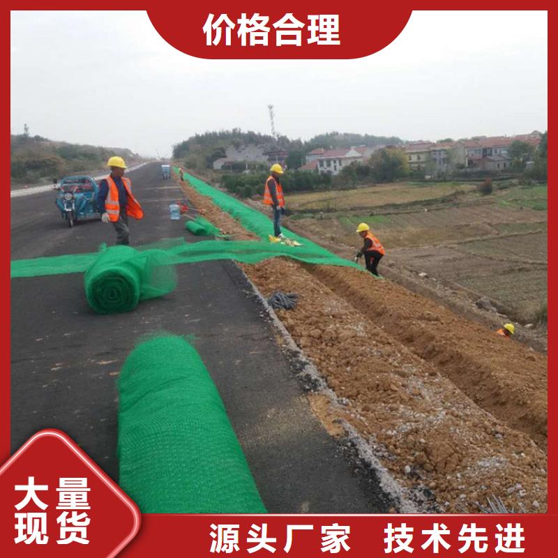 三維植被網(wǎng)土工格柵匠心工藝