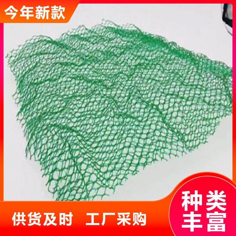 三維植被網(wǎng)復(fù)合土工膜生產(chǎn)加工