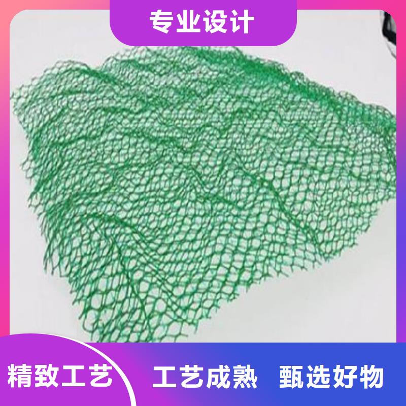 三维植被网-三维土工网产地采购