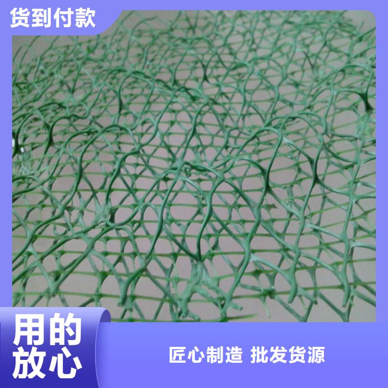 三维植被网三维土工网垫放心选购