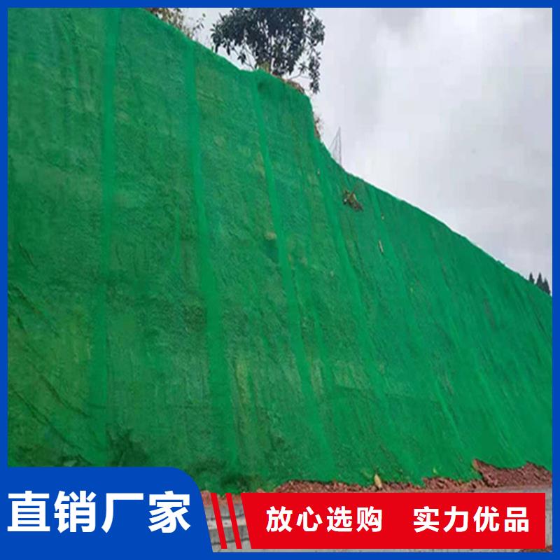 三維植被網(wǎng)【防滲膜】支持貨到付清