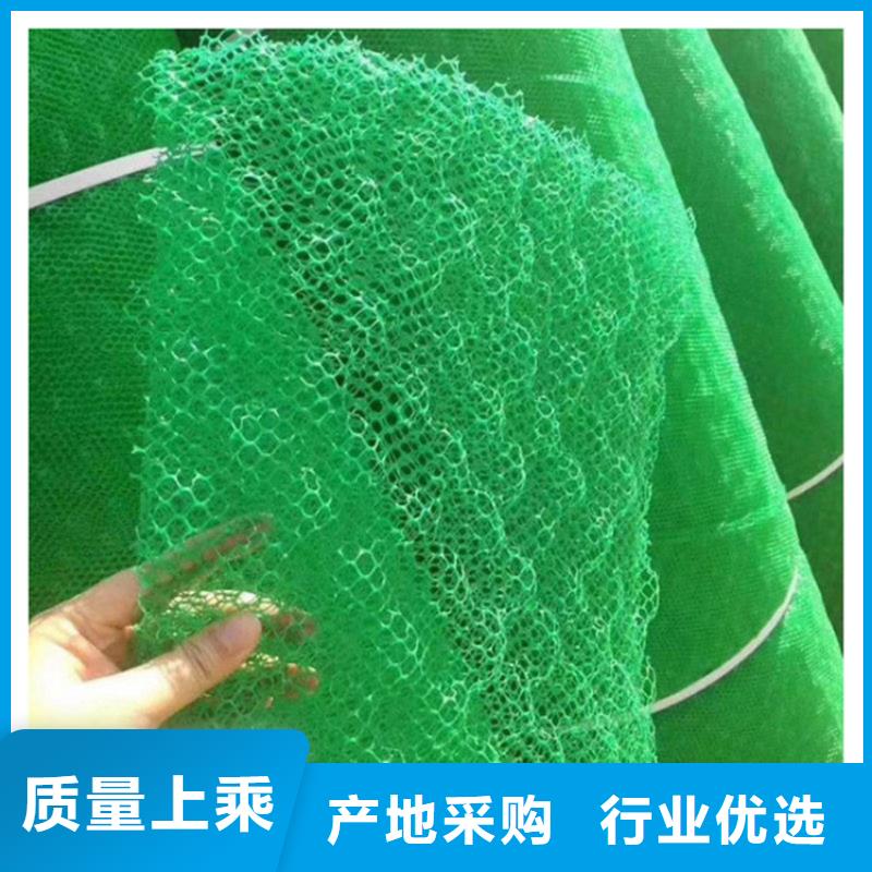 三维植被网【防渗膜】支持货到付清