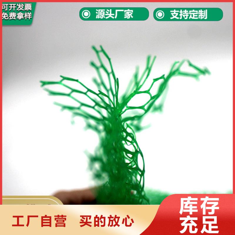 三維植被網(wǎng)土工布安心購