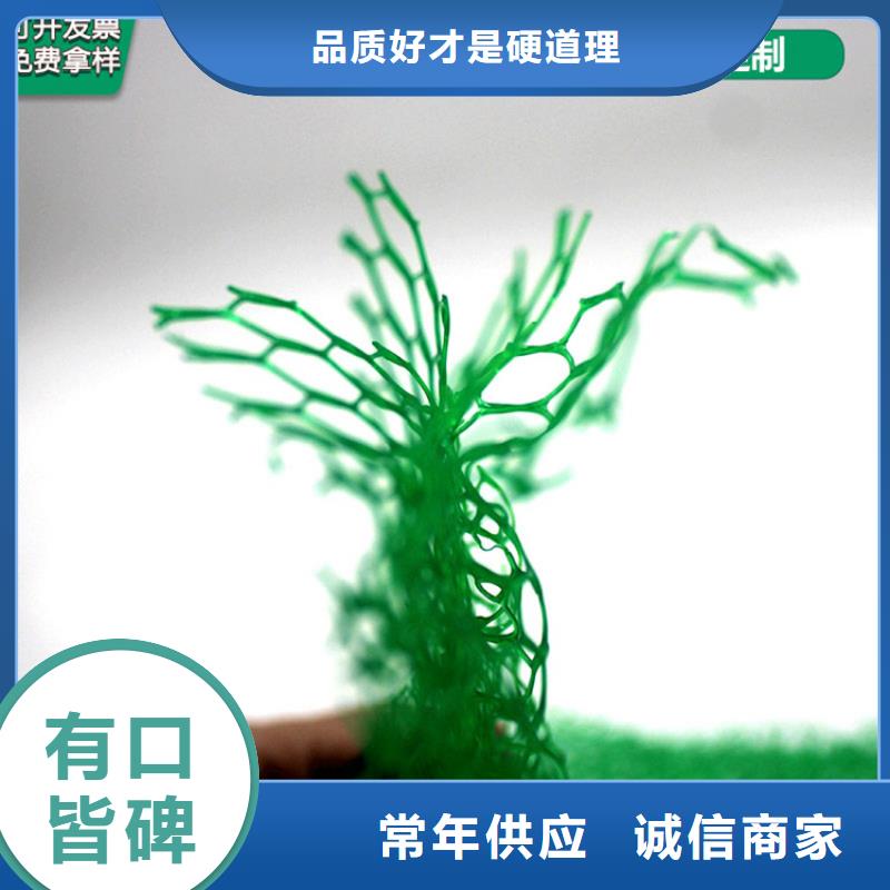 三維植被網膨潤土防水毯好貨直供