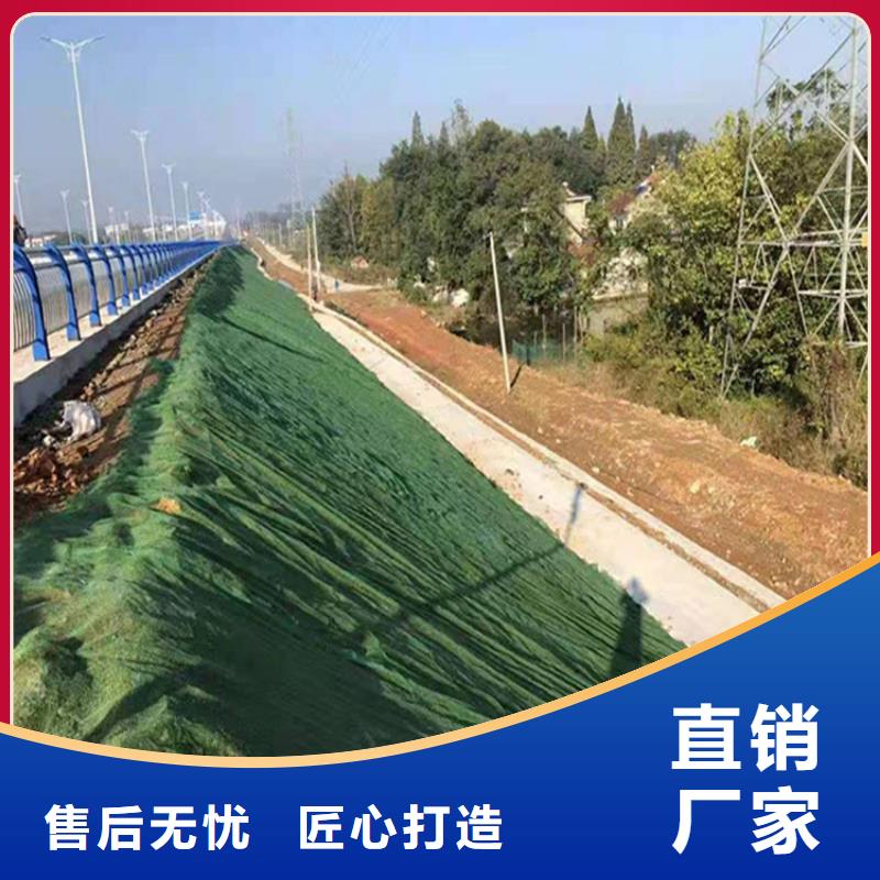 三維植被網(wǎng)防水板批發(fā)價格
