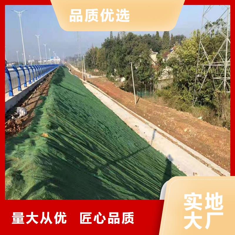 三維植被網(wǎng)【防滲膜】支持貨到付清